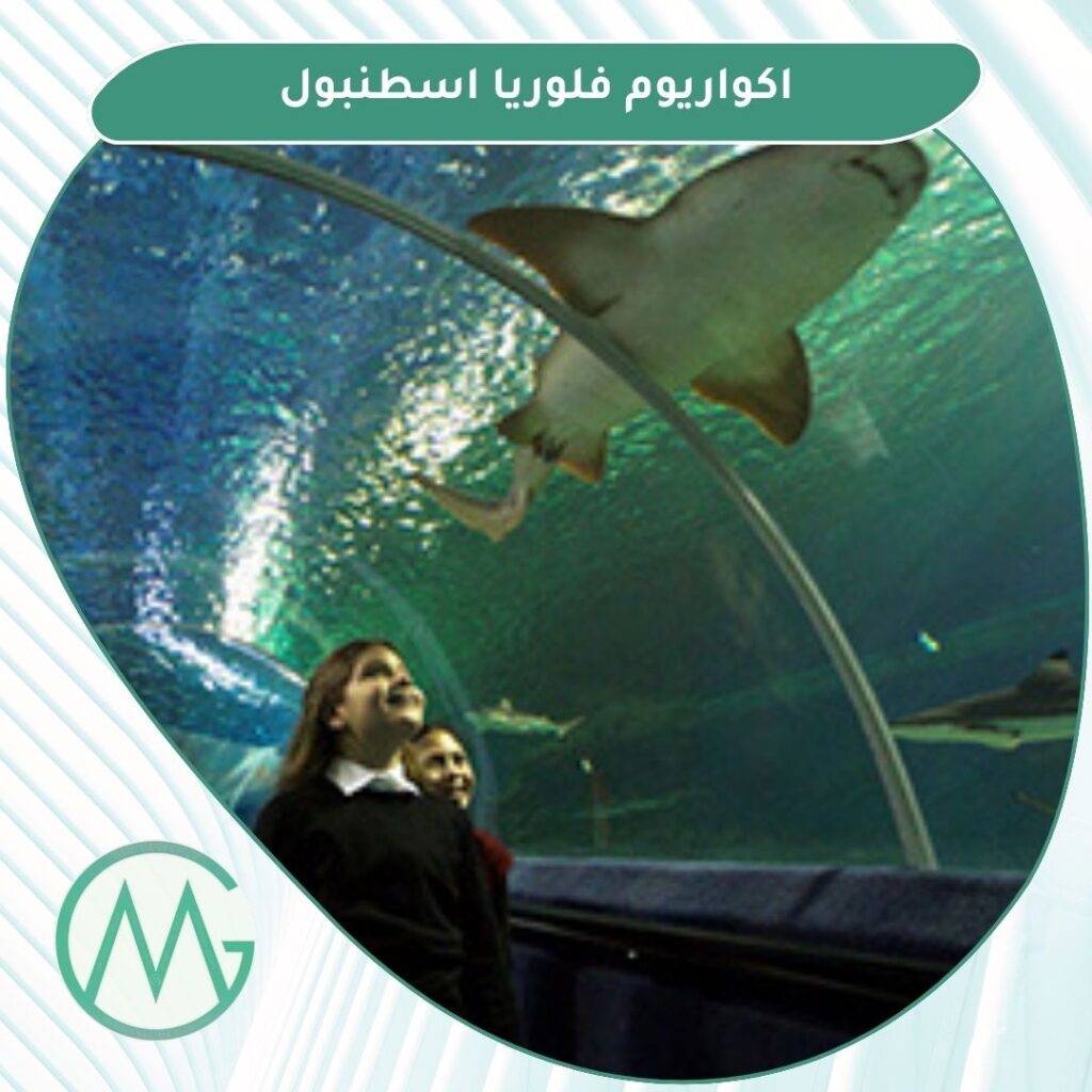 نشاطات ترفيهية اسطنبول